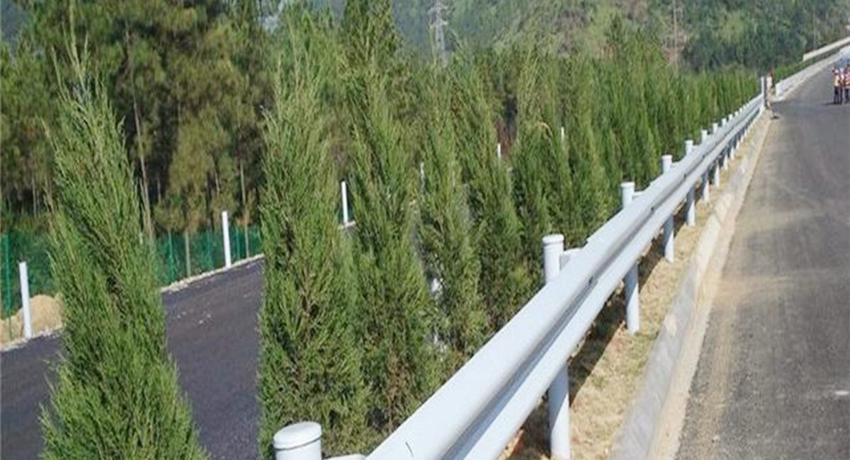 波形護(hù)欄板、鄉(xiāng)村道路護(hù)欄、單波護(hù)欄板世騰加工定制